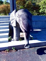 Слоник у порога очередного храмика